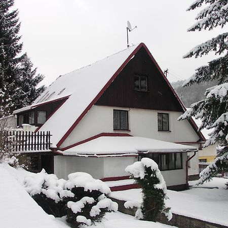 Edy Dum Villa Svoboda nad Upou Bagian luar foto