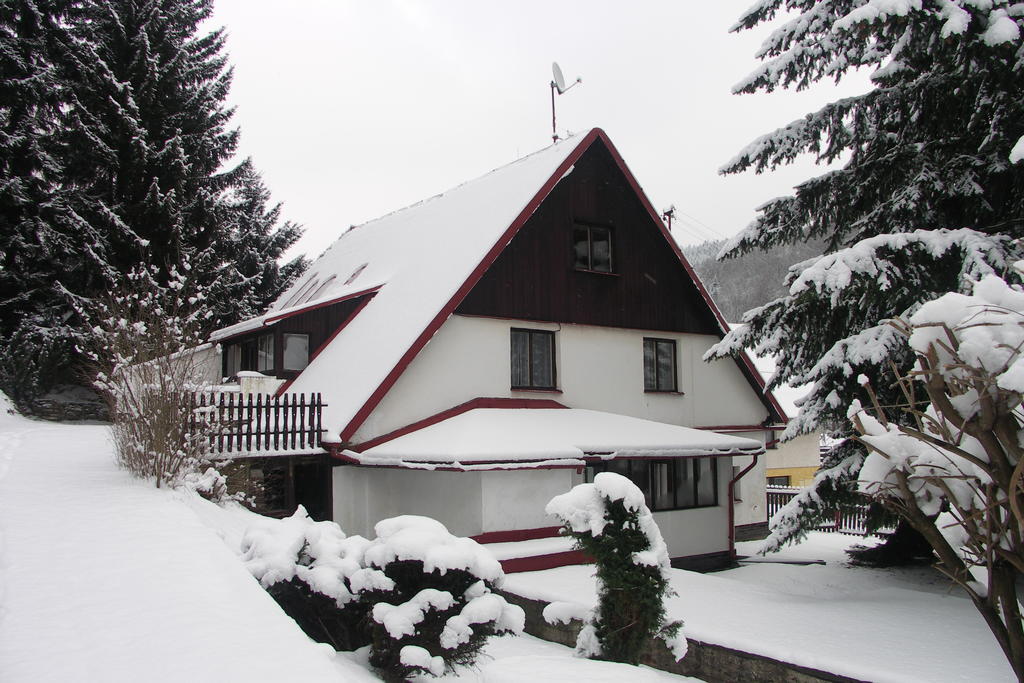 Edy Dum Villa Svoboda nad Upou Bagian luar foto